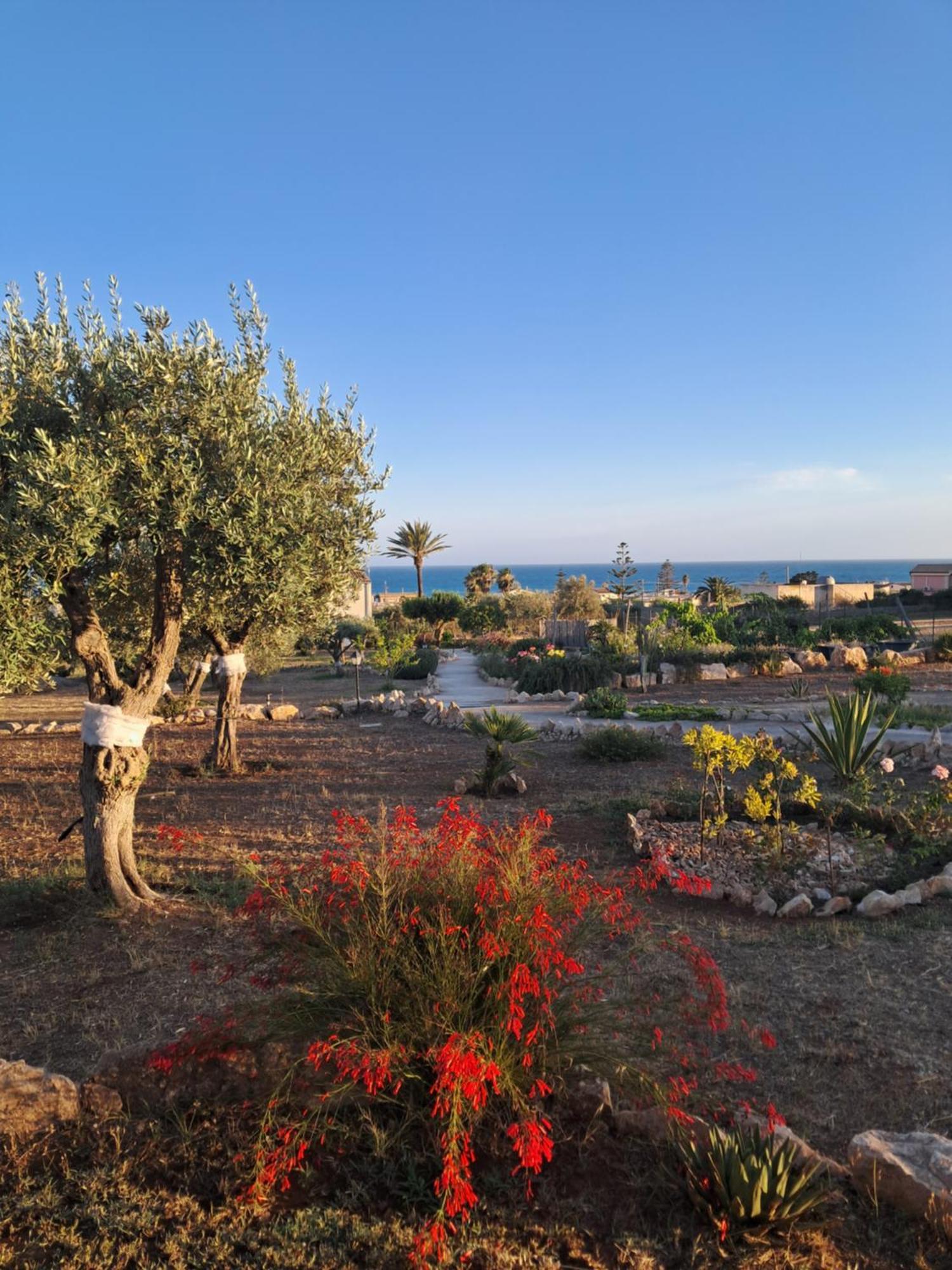 Villa Casadorata Buen Retiro Vista Mare à Donnalucata  Extérieur photo