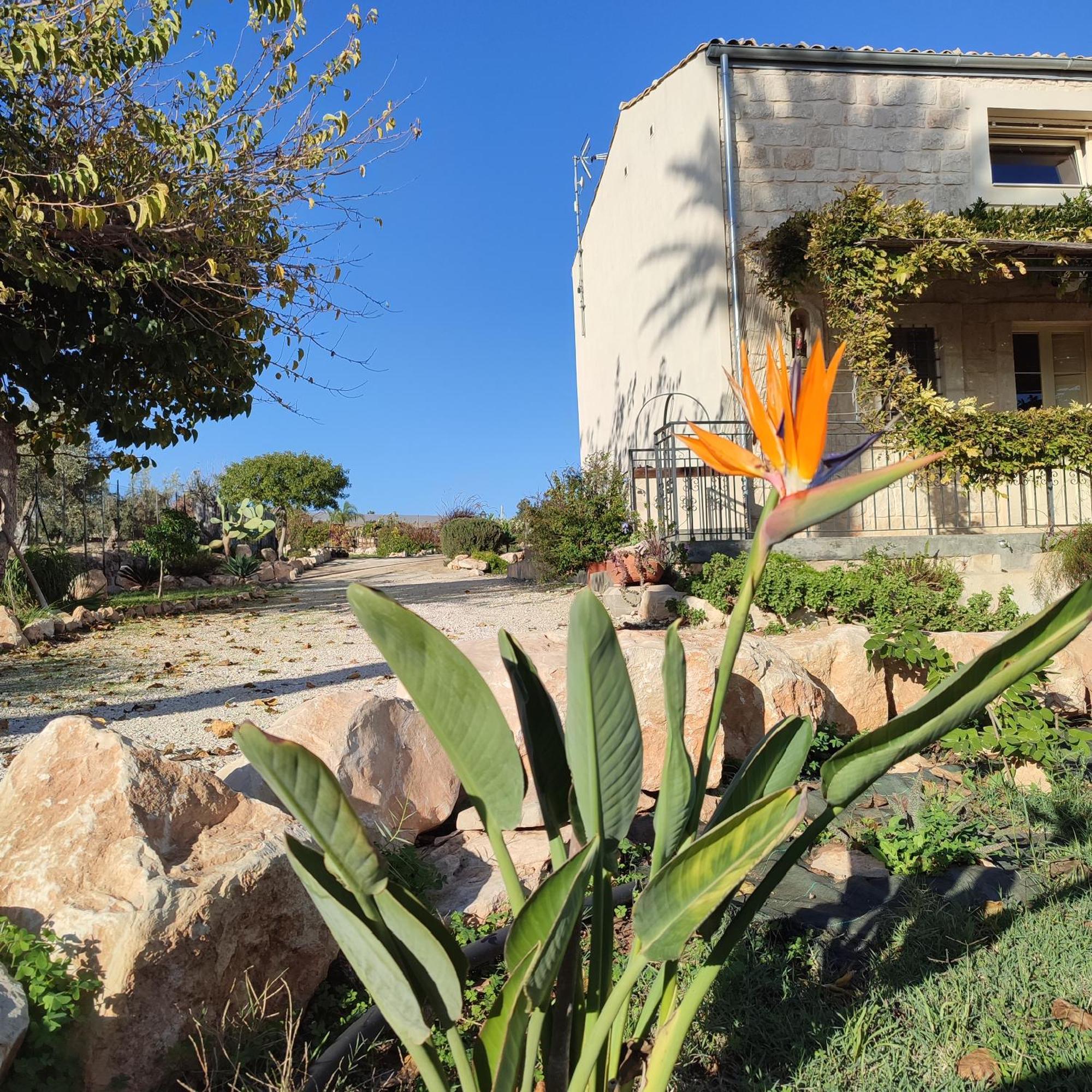 Villa Casadorata Buen Retiro Vista Mare à Donnalucata  Extérieur photo