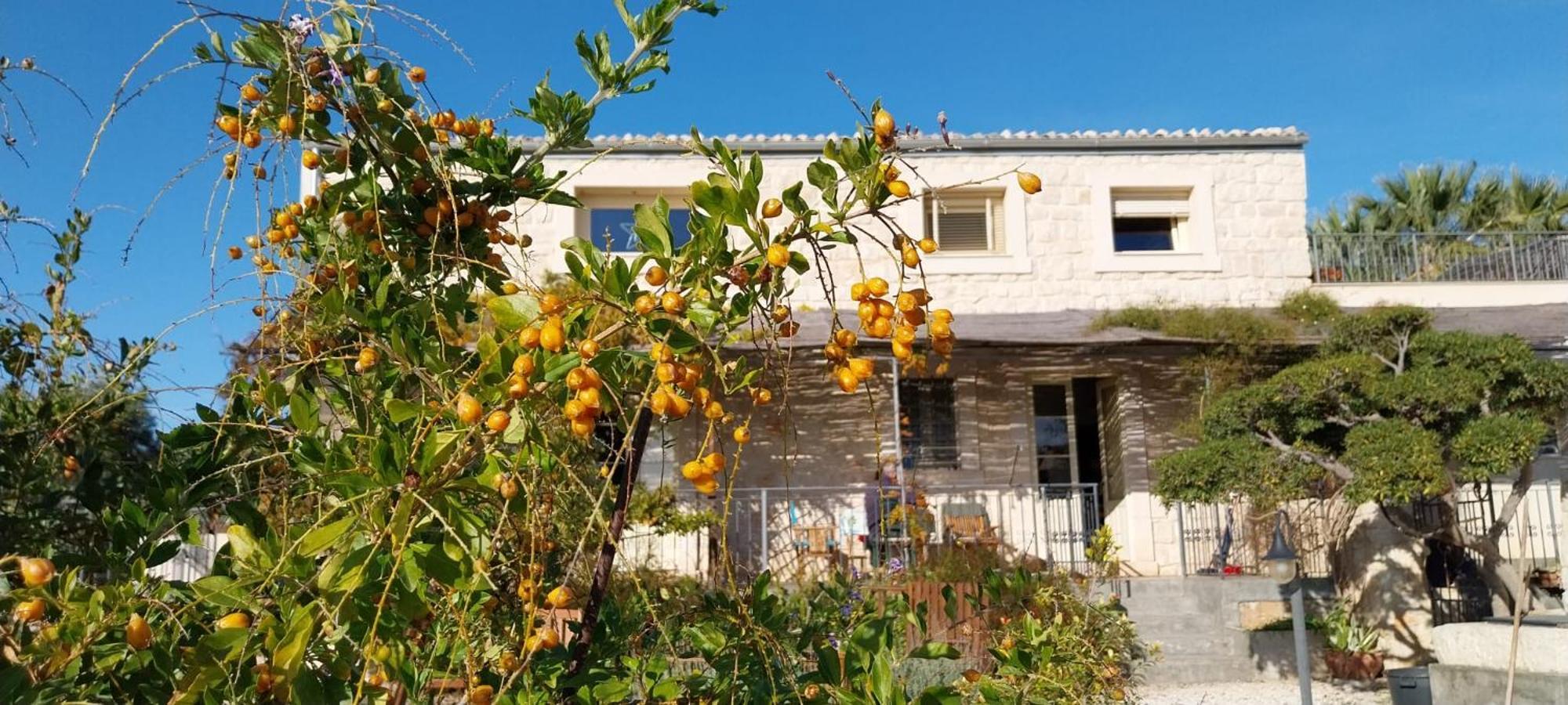 Villa Casadorata Buen Retiro Vista Mare à Donnalucata  Extérieur photo